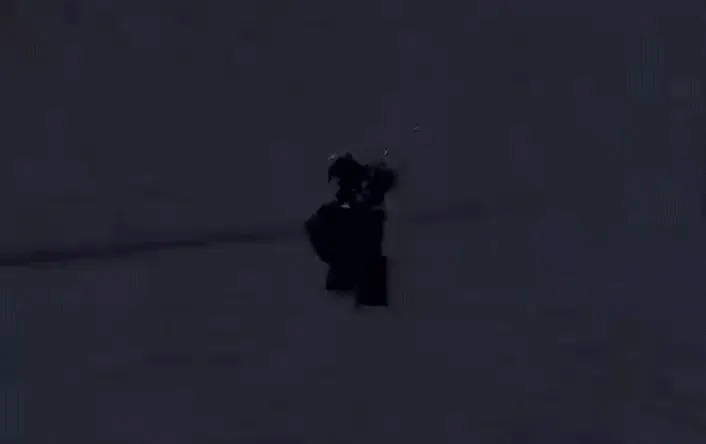 Bizarre Lineage Hammer