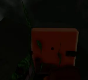 bridger WESTERN Dogbane Herb