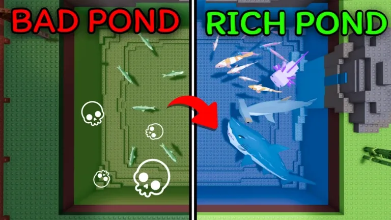 Own a Fish Pond Tier List