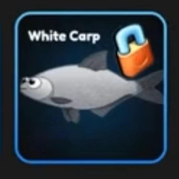 white carp