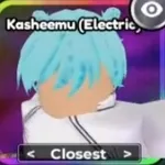 Kasheemu Electric