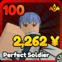 Perfect Soldier